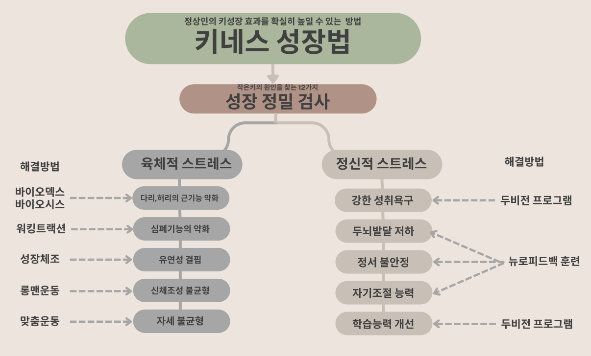 키네스 성장프로그램