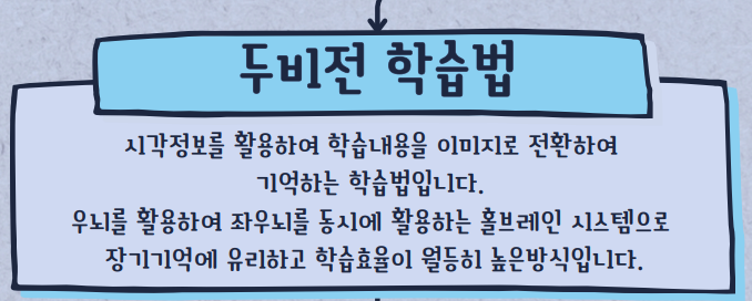 창의융합 뇌 교육