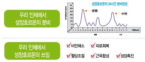 naver_2025-07-02_15-48-41_6864d649af212.png