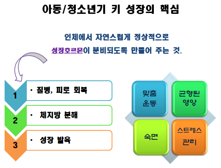naver_2025-07-02_15-58-18_6864d88add5e8.png