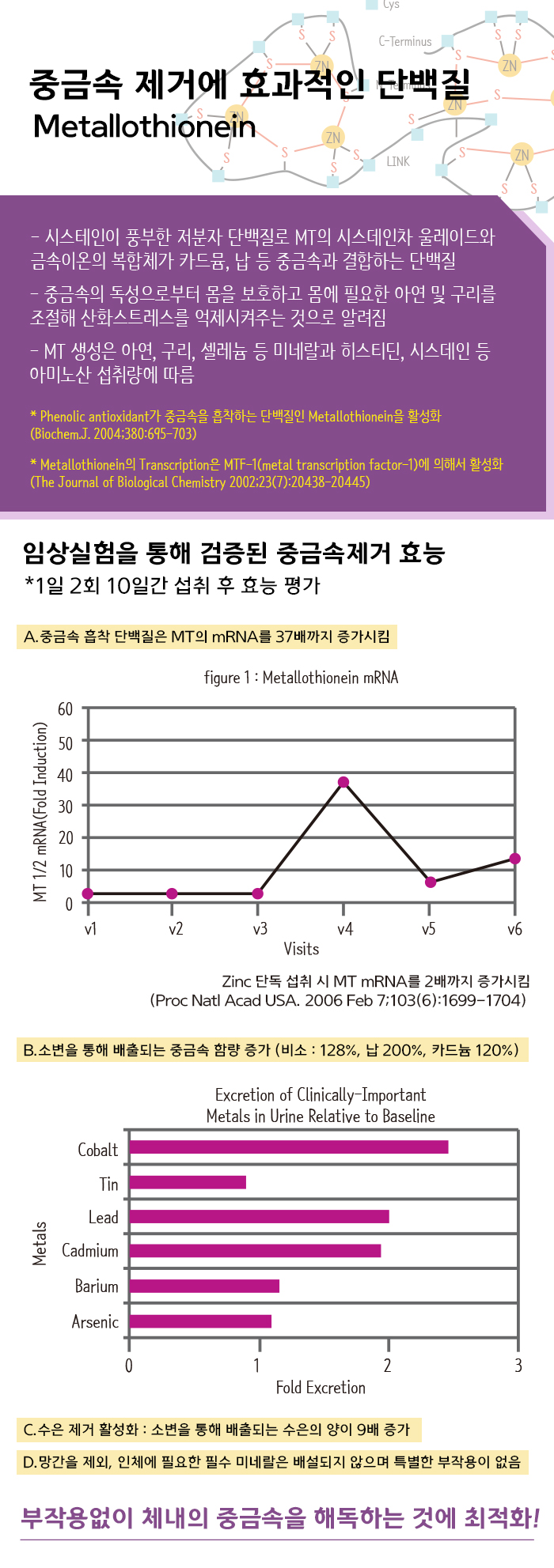 naver_2025-07-02_16-10-00_6864db48c6ef0.jpg