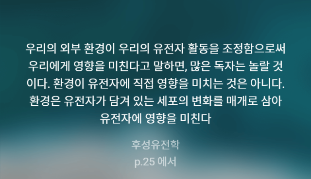 naver_2025-07-02_16-17-20_6864dd00abf5e.png