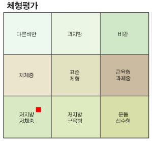 영신이 체형 분석