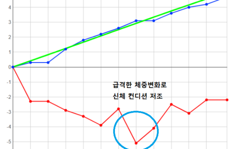 키네스 성장사례 링크