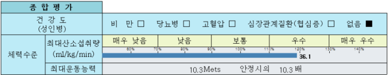 유산소 운동능력으로 평가한 체력수준