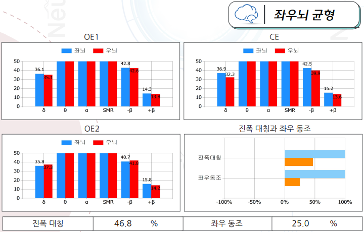 뇌기능검사결과