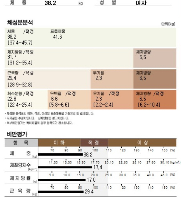 신체구성 분석